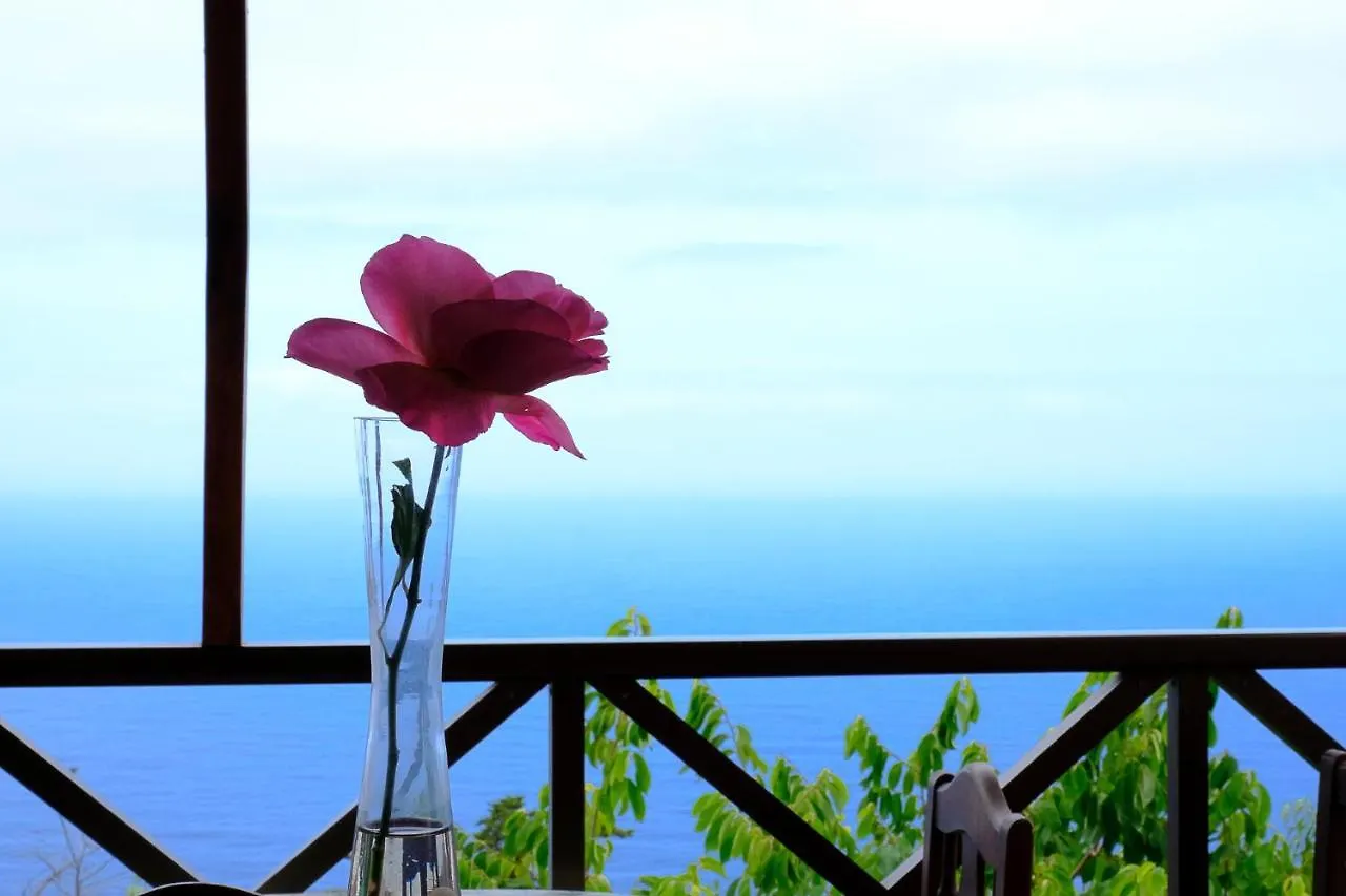 Сasa de vacaciones CASAS EN FINCA ECOLÓGICA EL BICLEN, NATURALEZA, CALMA Y VISTAS al MAR, Icod el Alto
