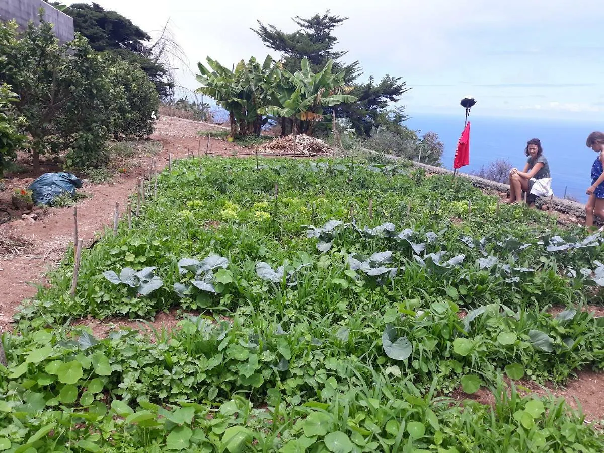 Casas En Finca Ecologica La Espiral, Naturaleza, Calma Y Vistas Al Mar, Icod el Alto Nyaraló